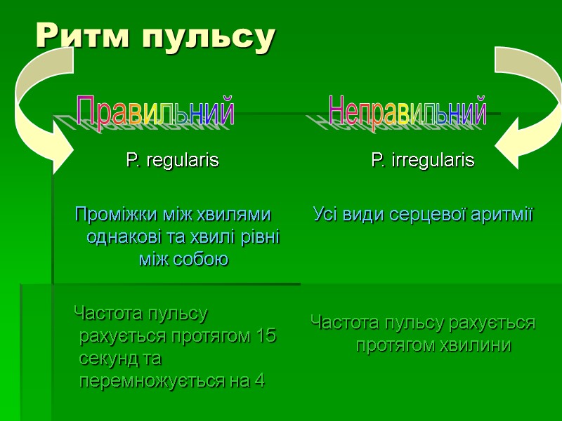 Ритм пульсу  P. regularis  Проміжки між хвилями однакові та хвилі рівні між